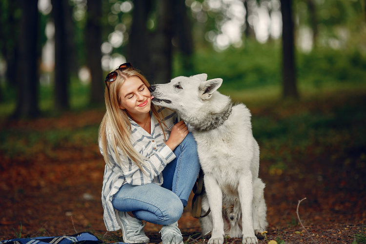 Why Not All Microbiome Tests Are Created Equal