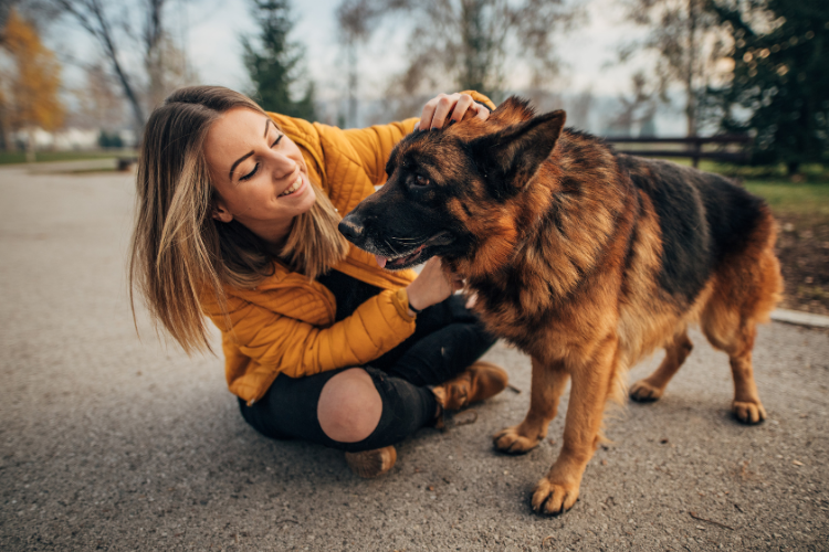 9 Signs your Dog has an Unhealthy Gut