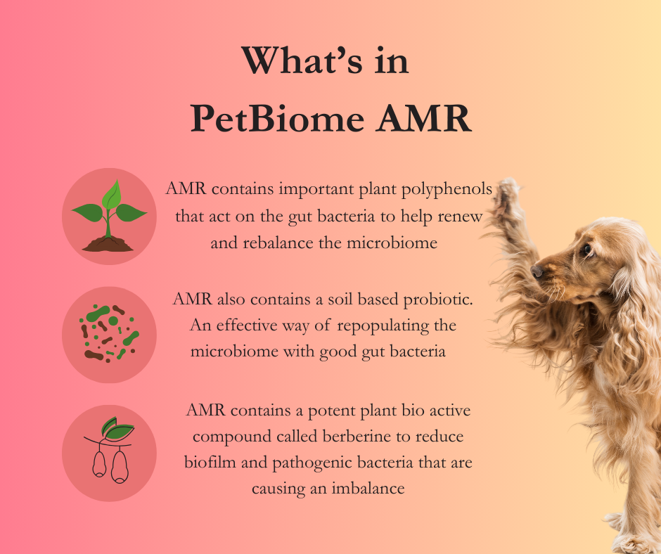 Biome4Pets AMR Sensitive