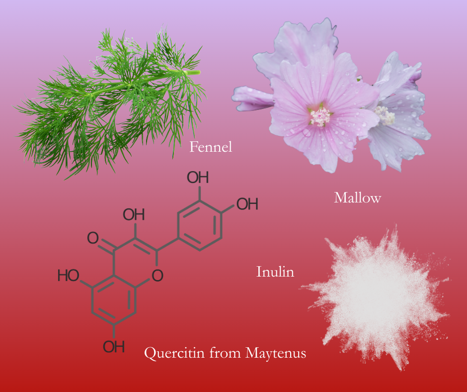 Illustration of fennel, mallow flowers, and quercitin with chemical structure on a gradient background.