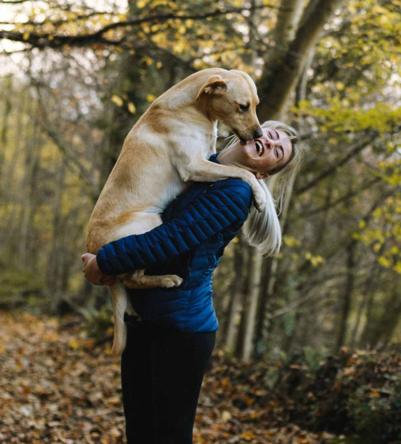 Save over £100 with the 6-Month Biome Balance Programme