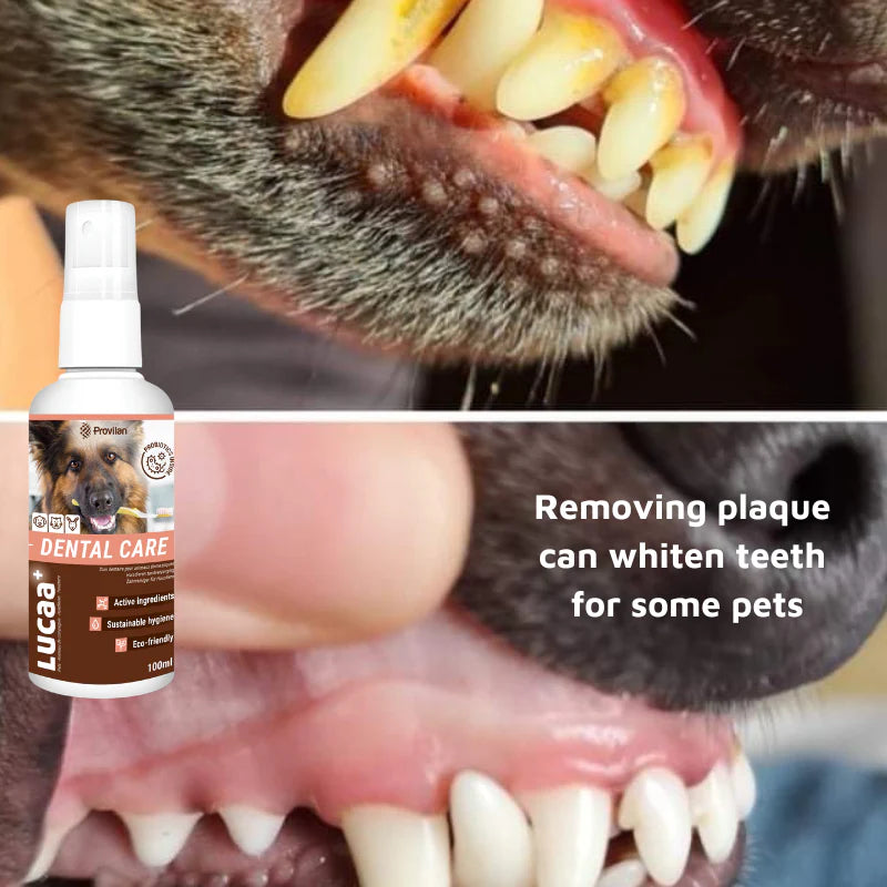 LUCAA+ Pet Probiotic Dental Care Spray