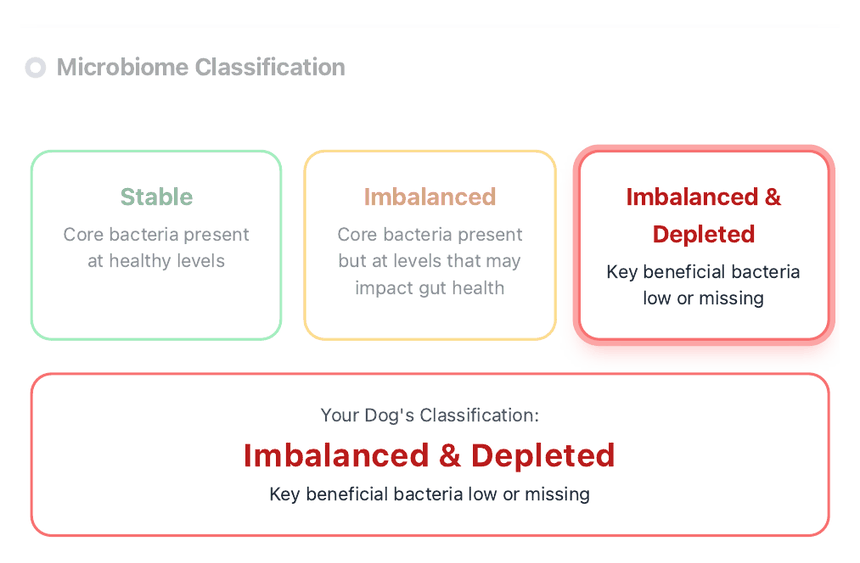 A clear classification — example page from the PetBiome report