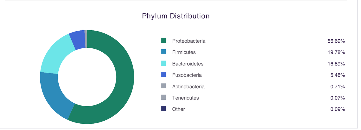 Example page from the PetBiome report showing phylum distribution