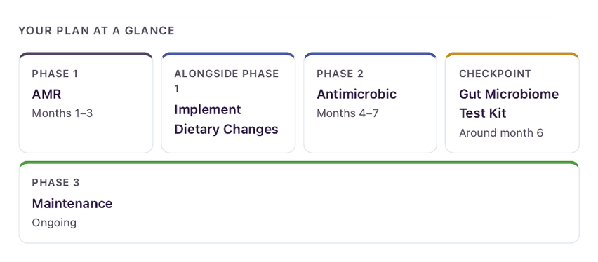 A phased action plan — example page from the PetBiome report